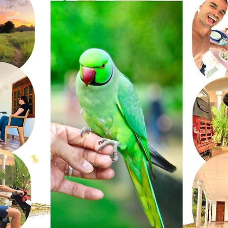 Grand Refuge Bird View Lake Jogging Foods Bikes Tuk Tuk & Free City Tour Guidence Anuradhapura Exterior foto