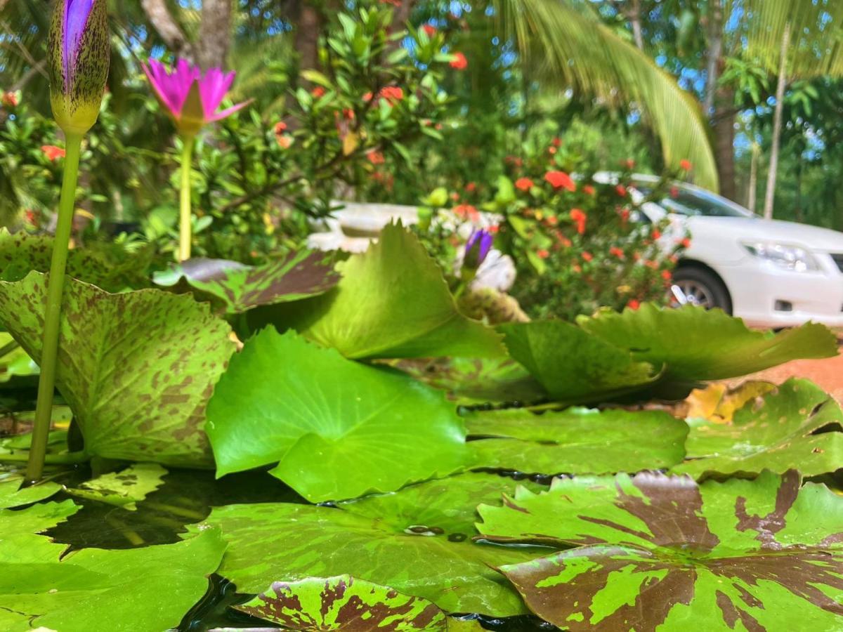 Grand Refuge Bird View Lake Jogging Foods Bikes Tuk Tuk & Free City Tour Guidence Anuradhapura Exterior foto