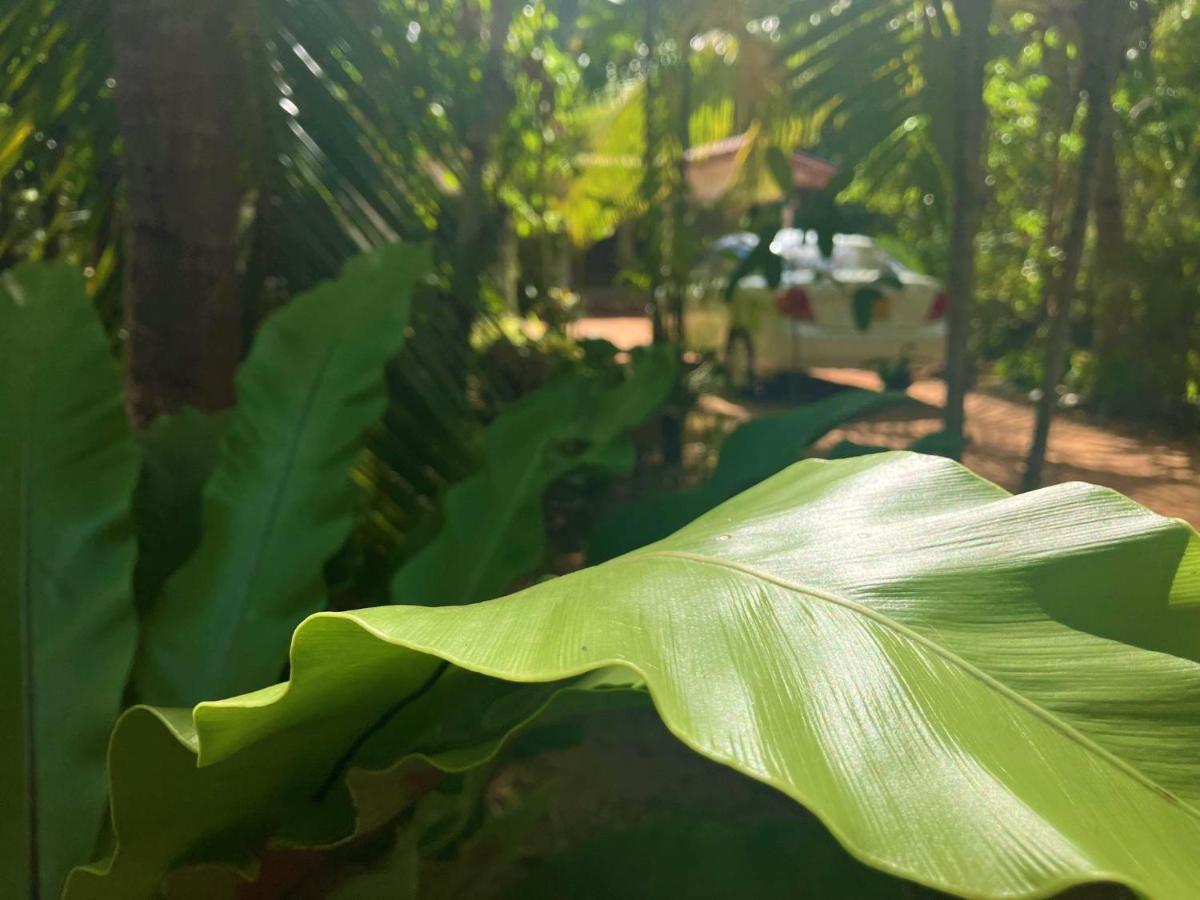 Grand Refuge Bird View Lake Jogging Foods Bikes Tuk Tuk & Free City Tour Guidence Anuradhapura Exterior foto