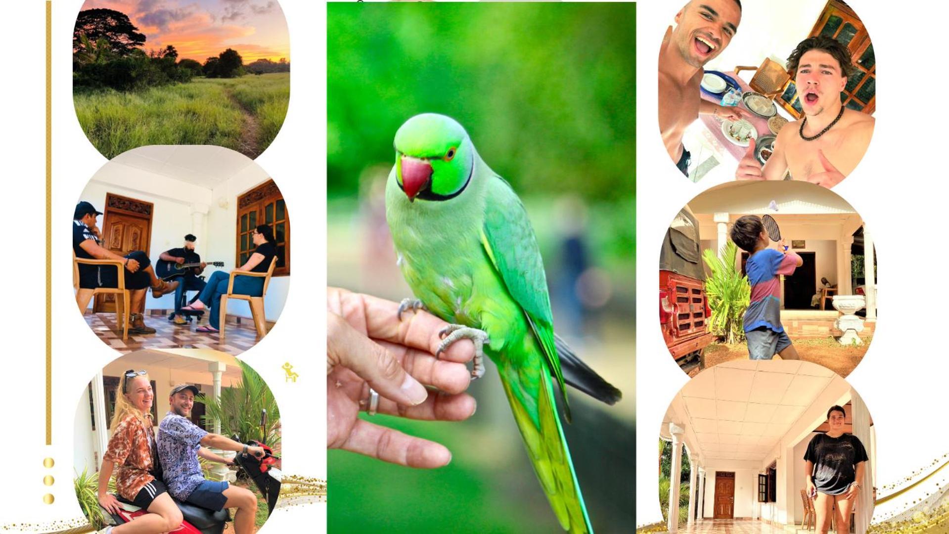 Grand Refuge Bird View Lake Jogging Foods Bikes Tuk Tuk & Free City Tour Guidence Anuradhapura Exterior foto